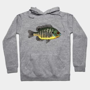 Bluegill Sunfish Hoodie